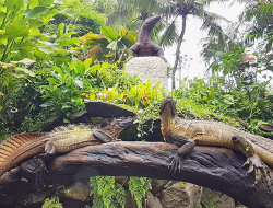 Bali Reptile Park: Wisata Edukasi Reptil Eksotis di Gianyar